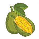 【已删除】菠萝蜜视频无限制观看神马福利|菠萝蜜视频污女多社交app