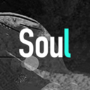 Soul软件免安装版