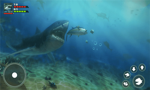 海底大猎杀3d免费版游戏截图